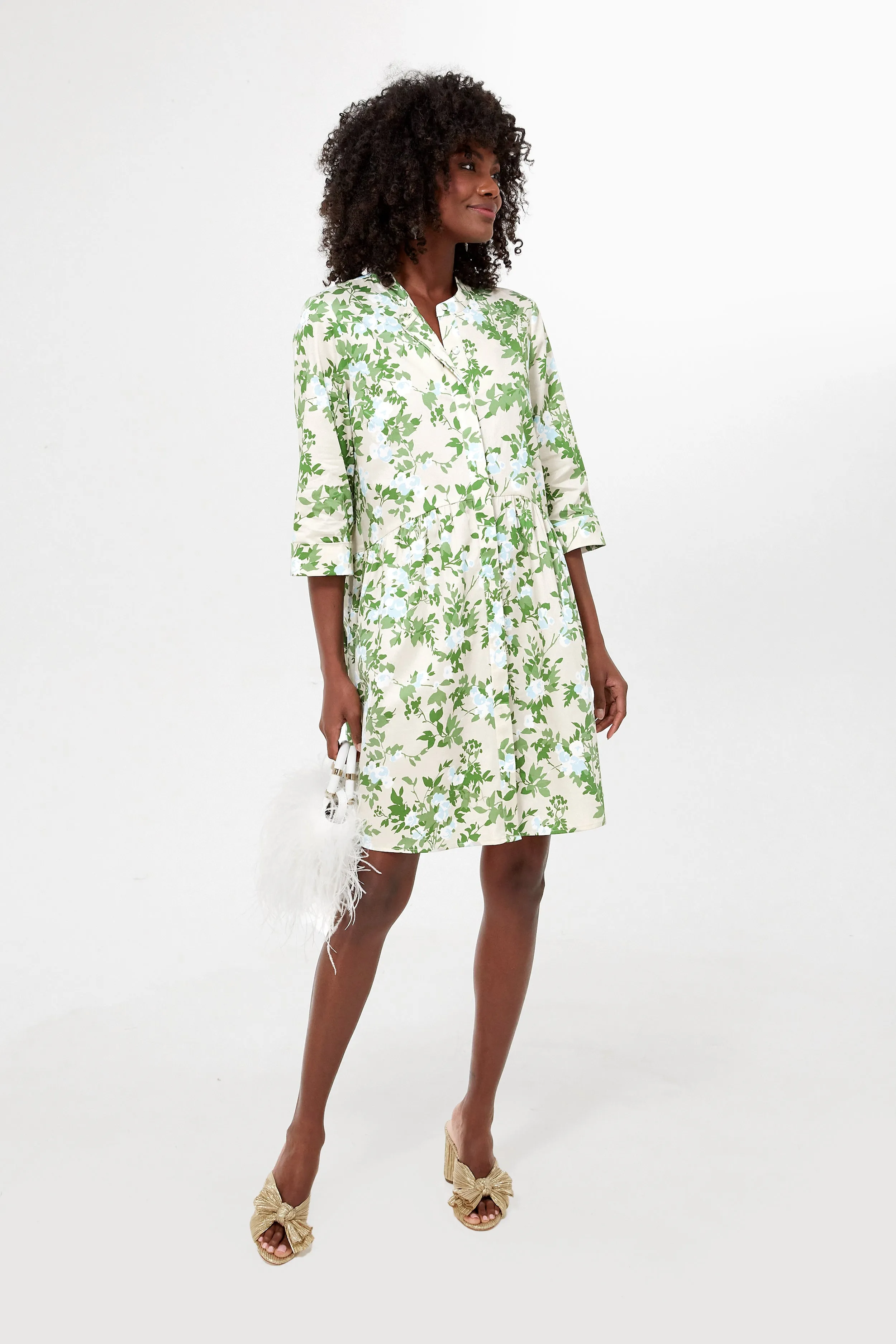 English Ivy Royal Shirt Dress